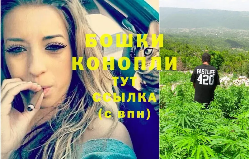 дарнет шоп  Починок  Бошки Шишки OG Kush 